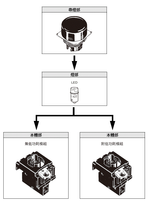 M22 種類 7 