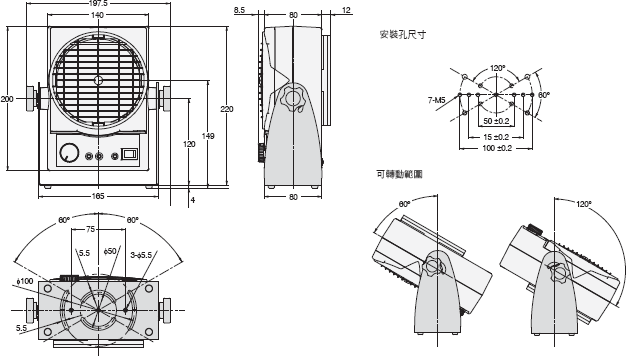 1975_dm_1