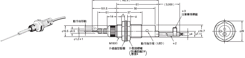 562_dm_1